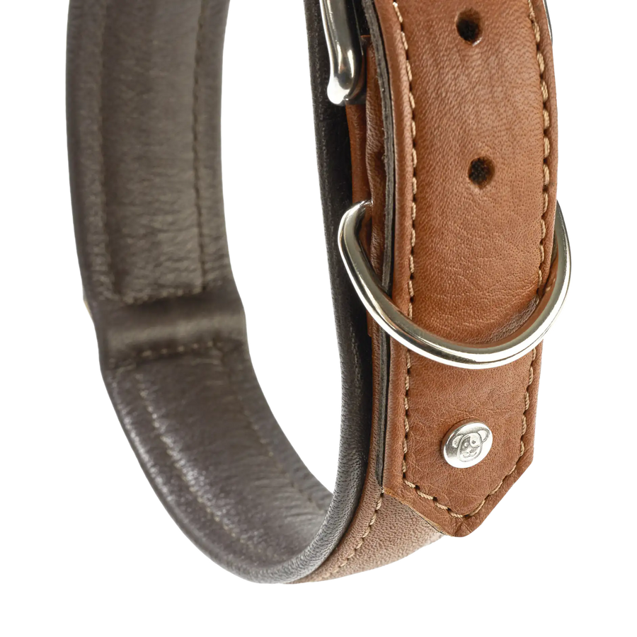 braun-3