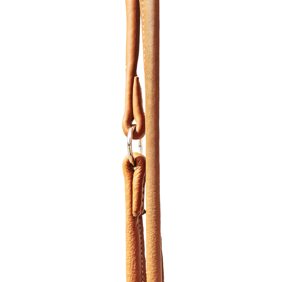 braun-3