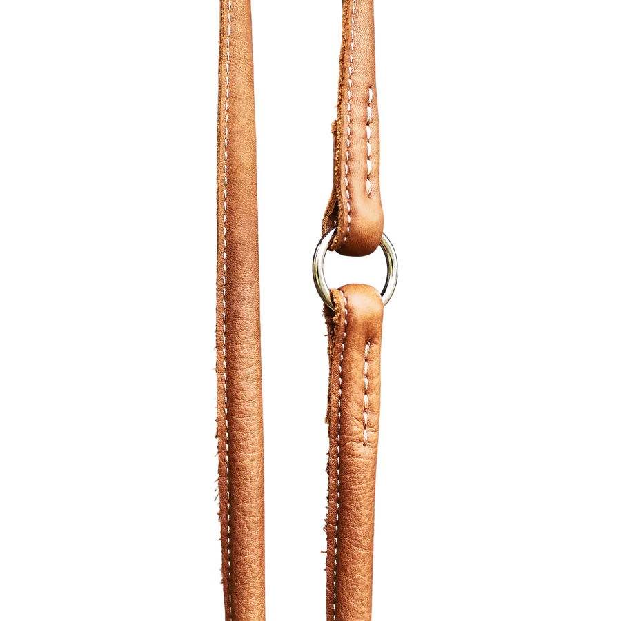 braun-5