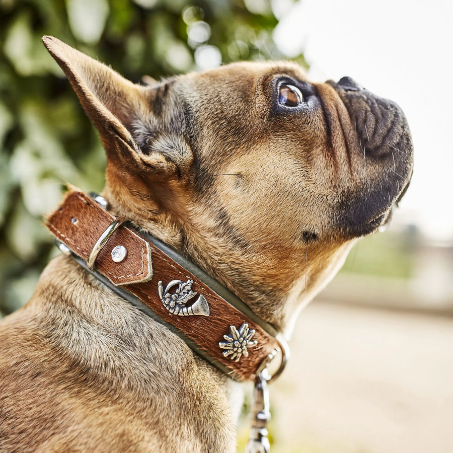 Bavaria Halsband