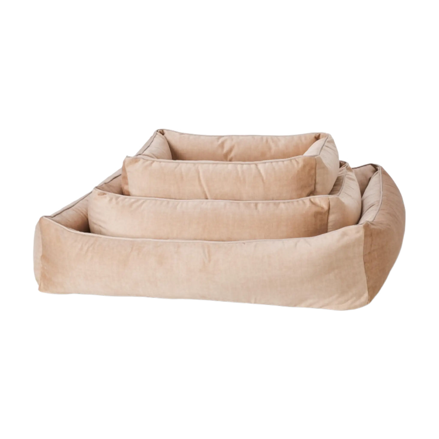 beige-2