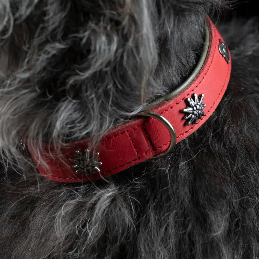 Edelweiss Halsband
