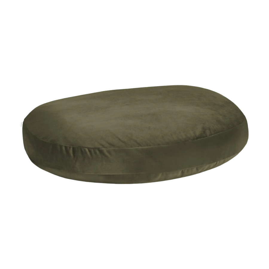 olive-2