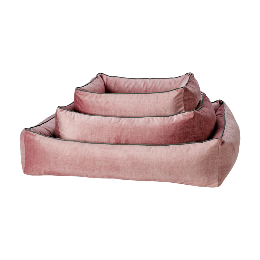 rosa-2