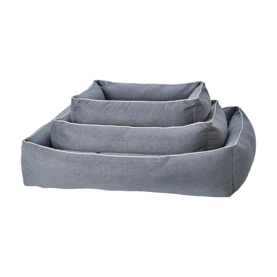 blau-2