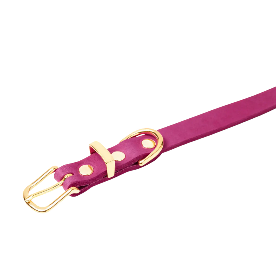 violett-2-messing