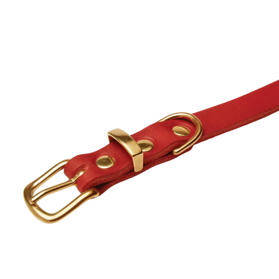 rot-2-messing