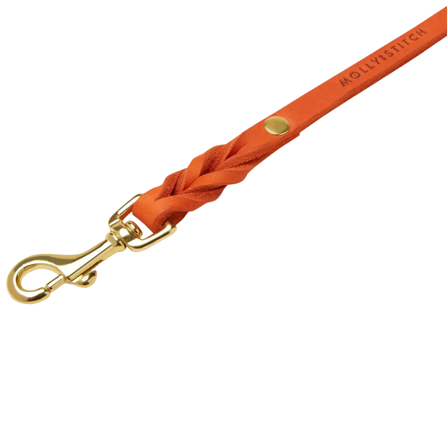 orange-2