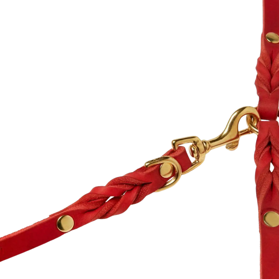 rot-messing-4