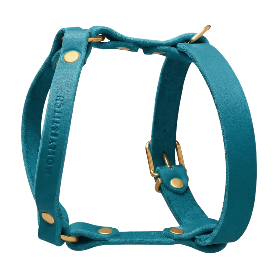 blau-2