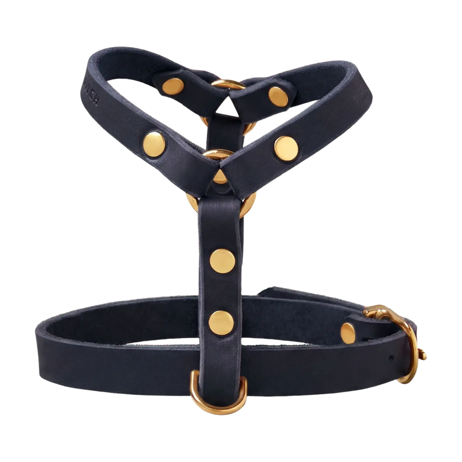 navy-blau