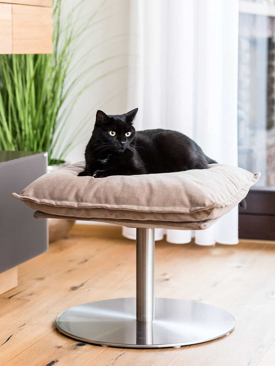 Black cat on a cat stool with cushion in a living room