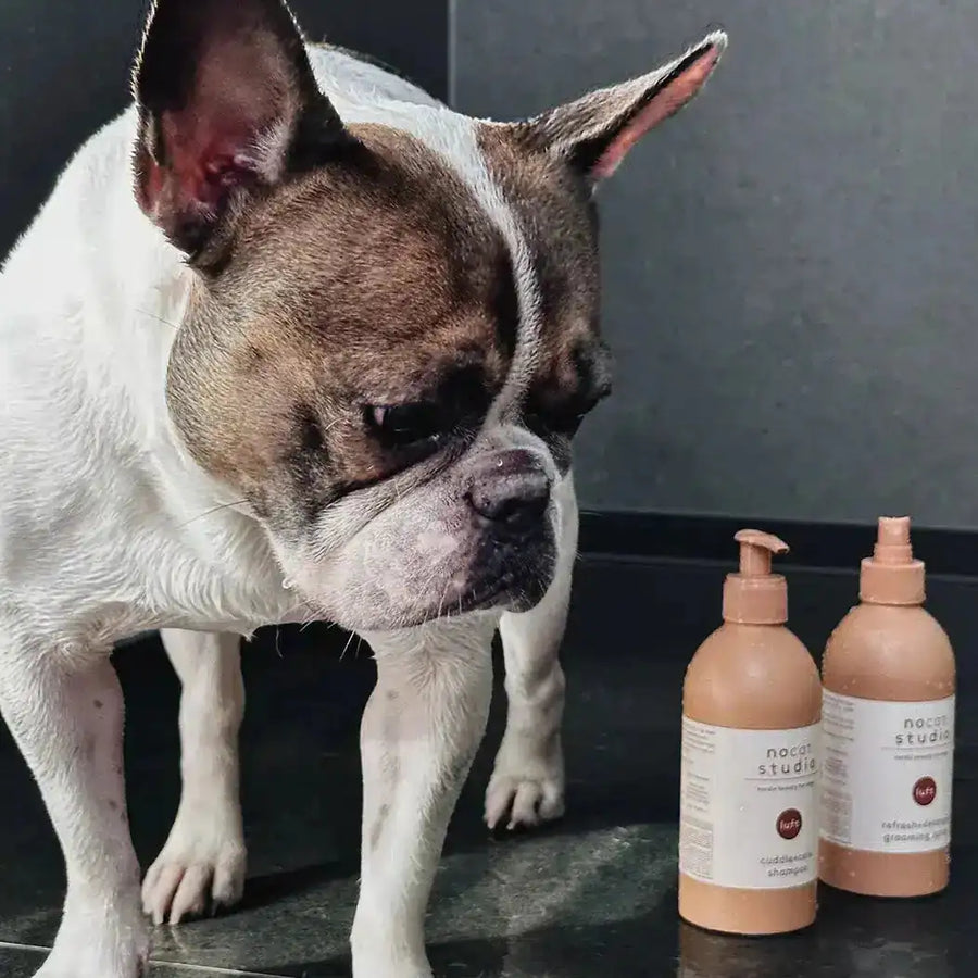 Luft Pflegespray 375 ml