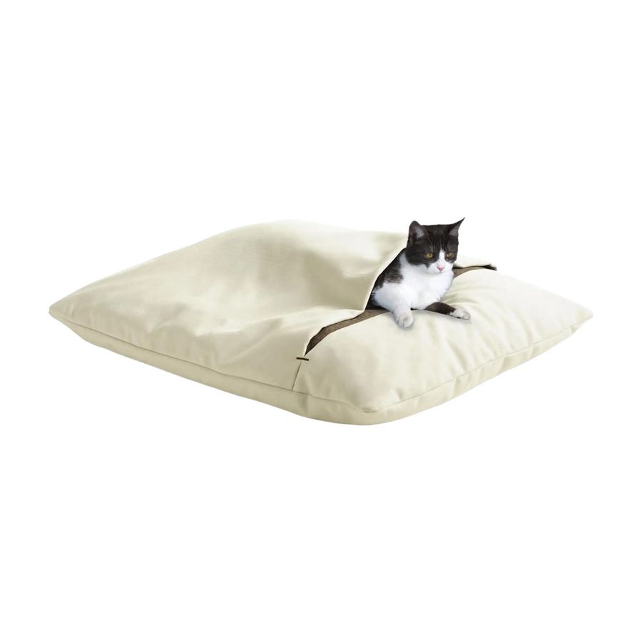 beige-samt