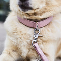 Amici Nappa Halsband