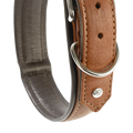 braun-3
