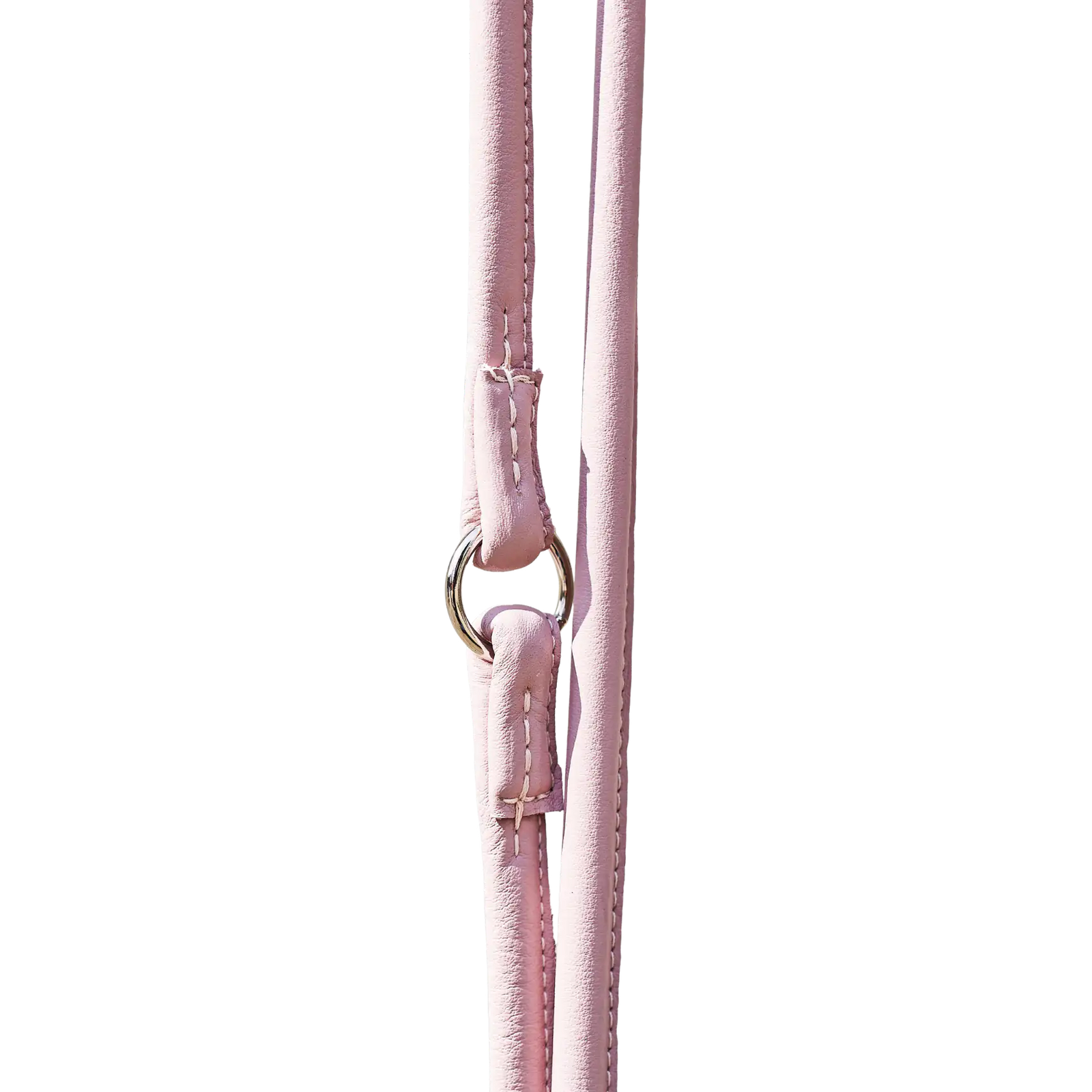 rosa-3