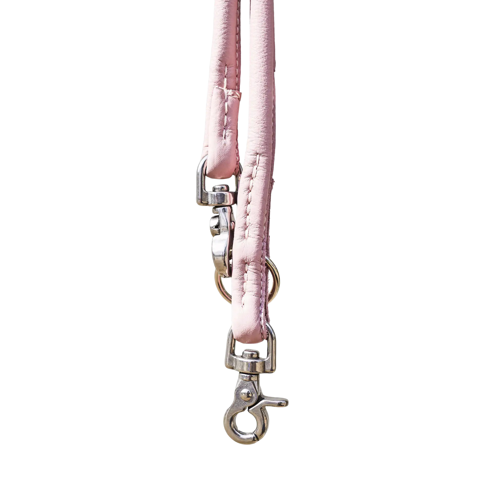 rosa-2