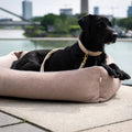 lifestyle