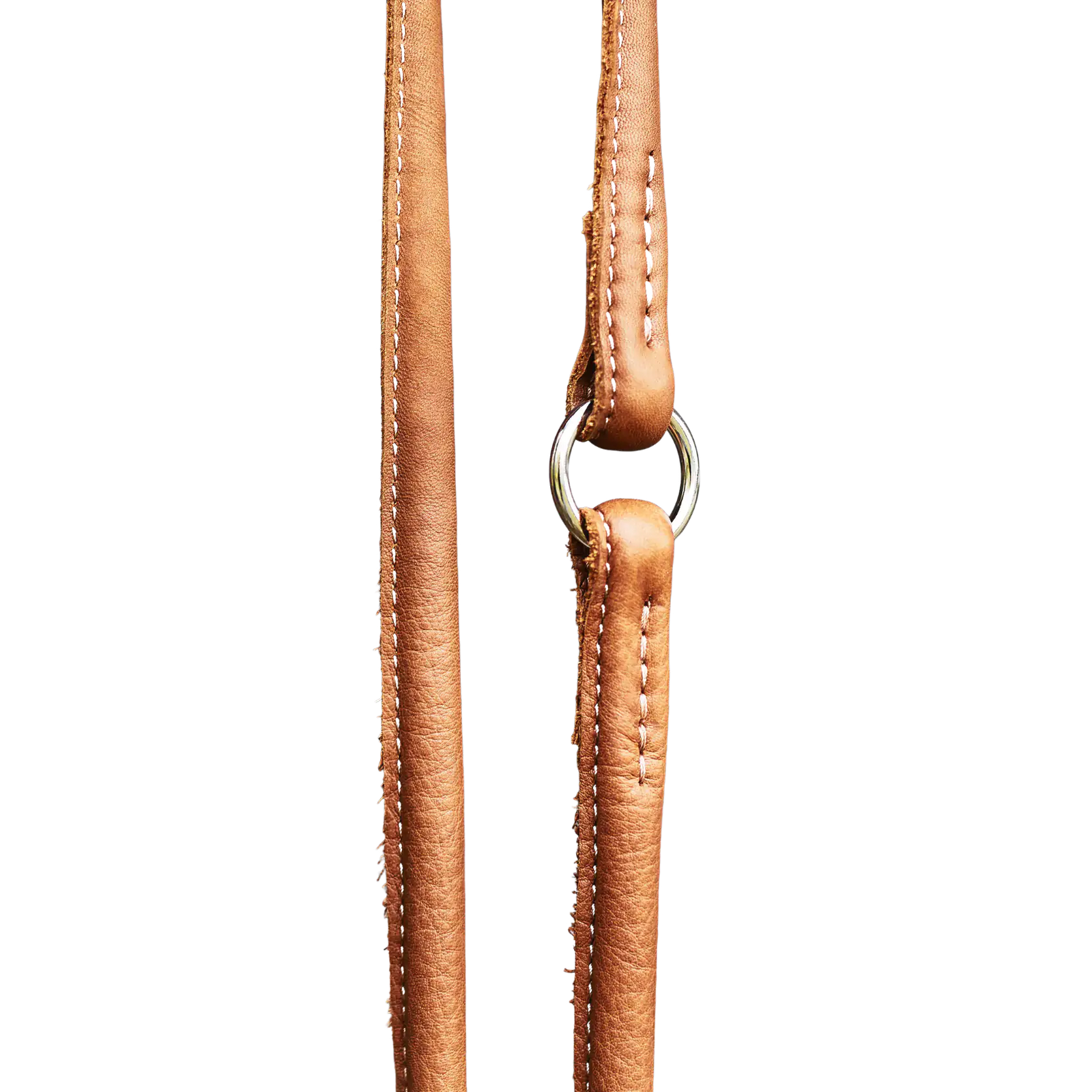 braun-5