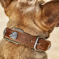 Bavaria Halsband
