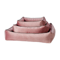 rosa-2