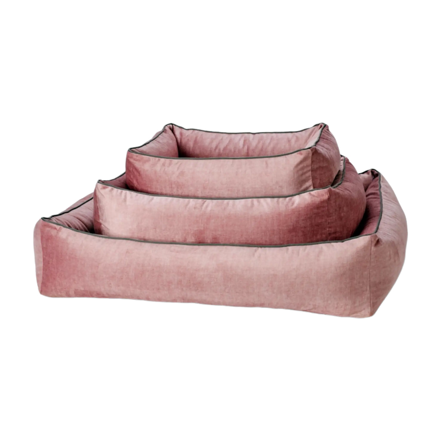 rosa-2