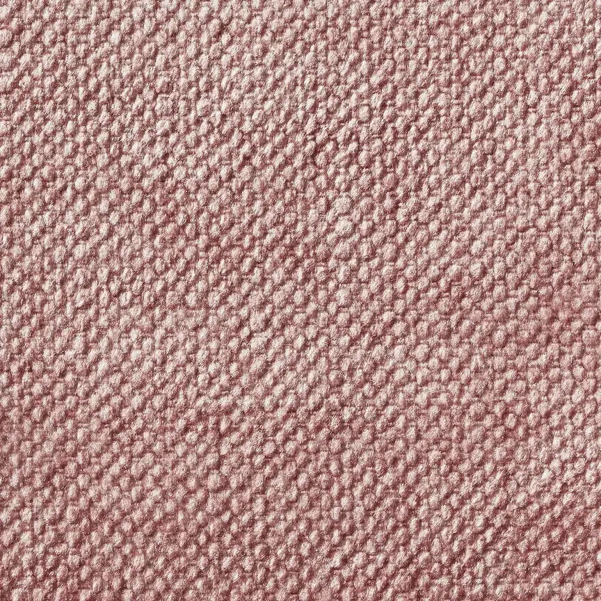 rosa-3