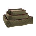 olive-2