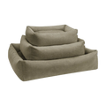olive-2