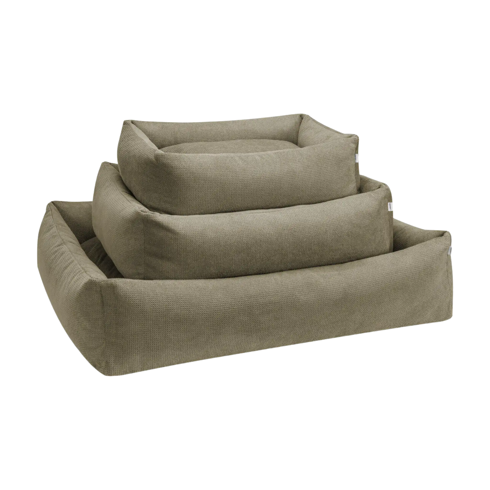 olive-2