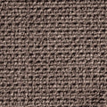 braun-3