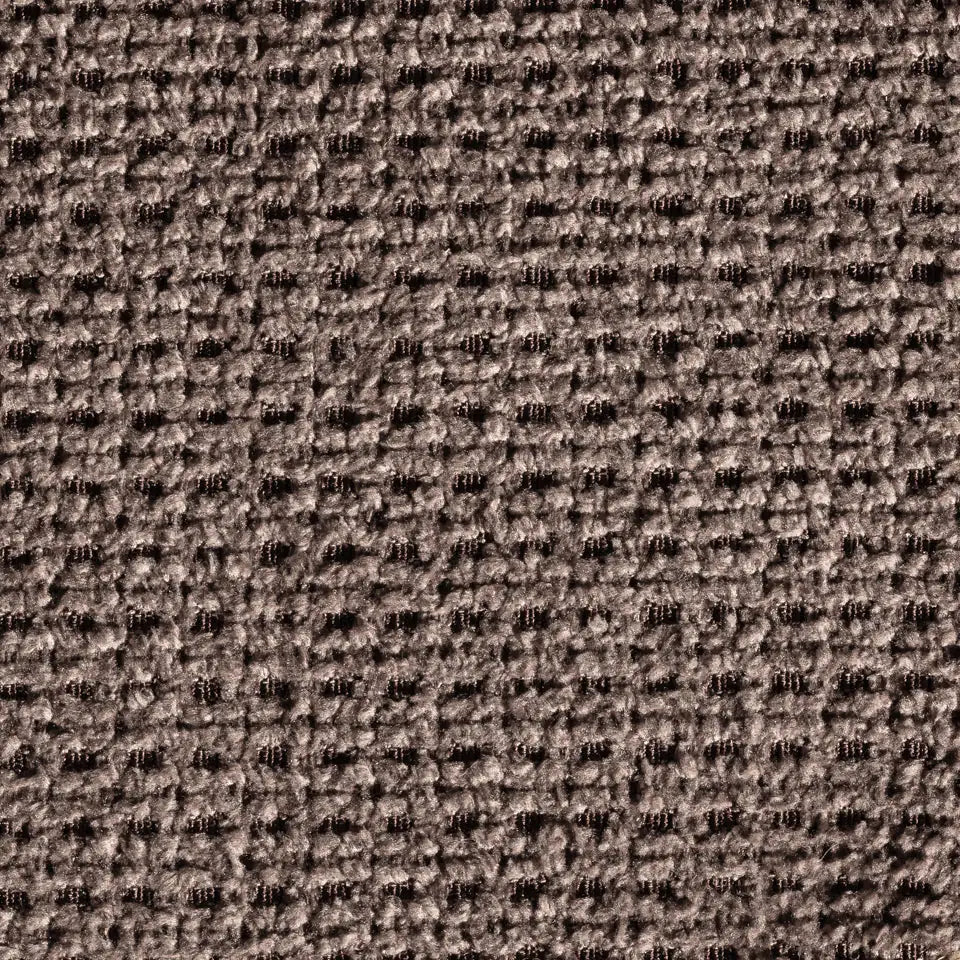 braun-3