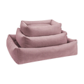 rose-2