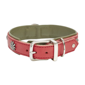 Edelweiss Halsband