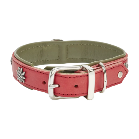 Edelweiss Halsband