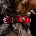 Edelweiss Halsband