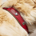 Edelweiss Halsband