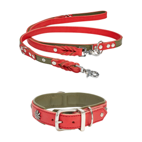 Edelweiss Set
