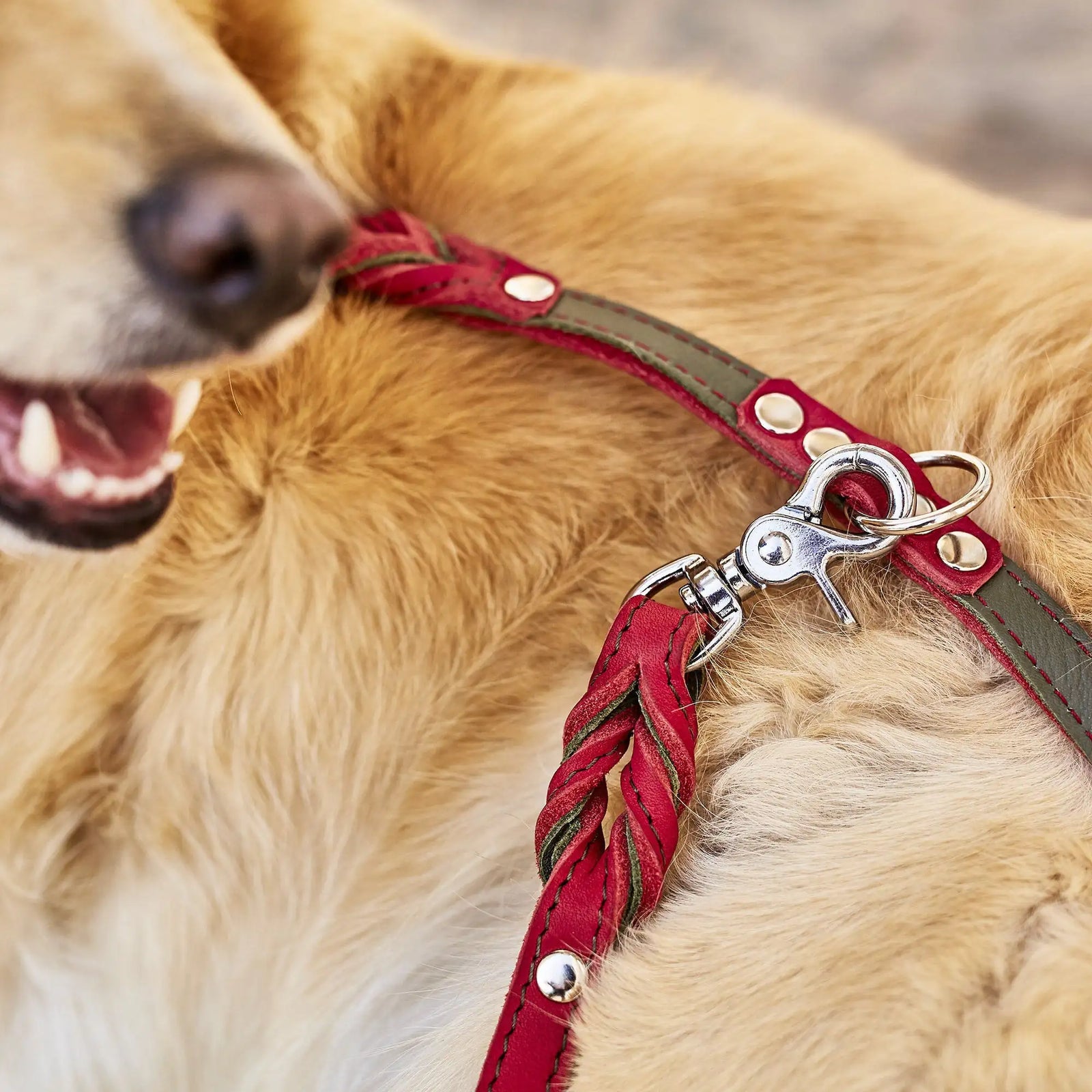 lifestyle