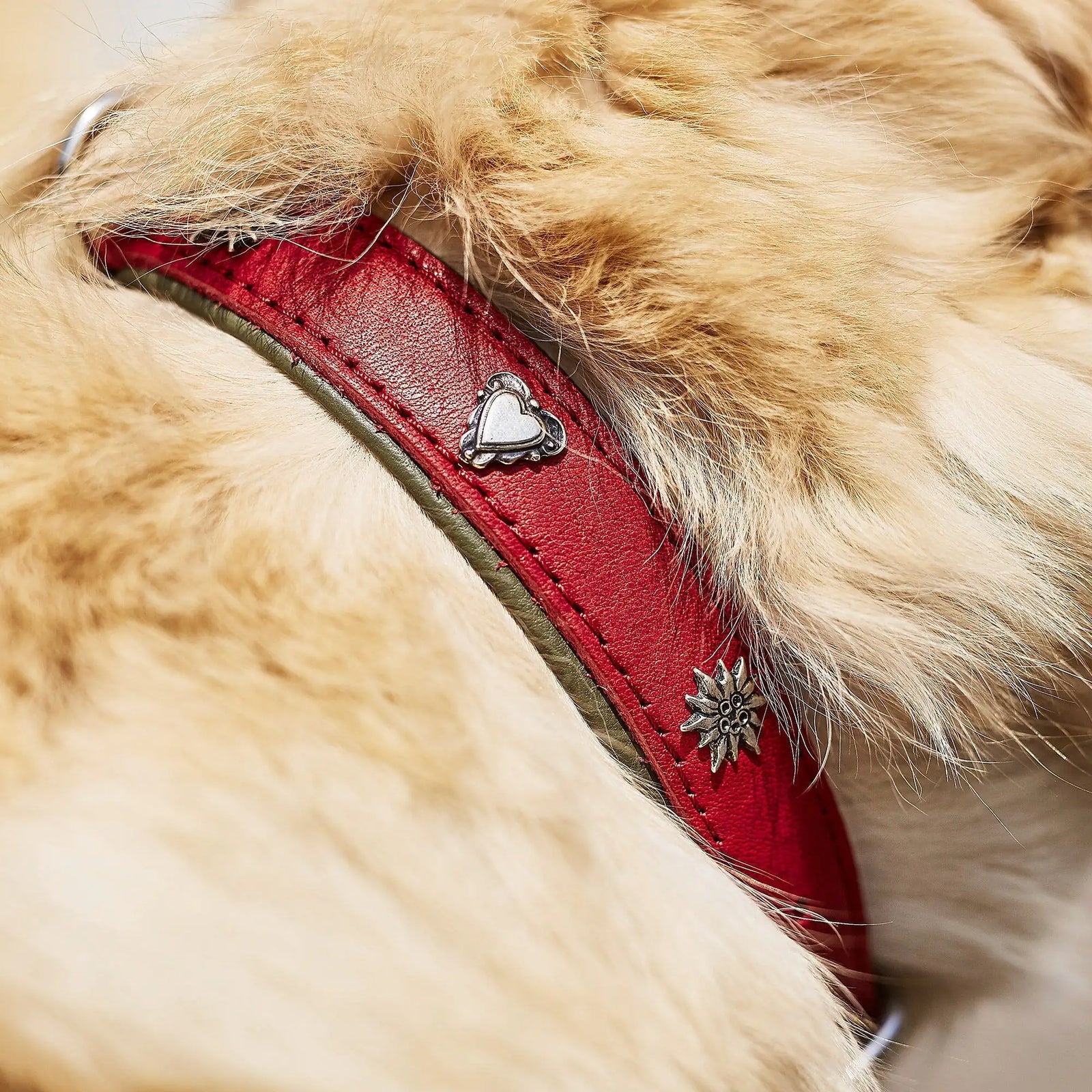 Edelweiss Set