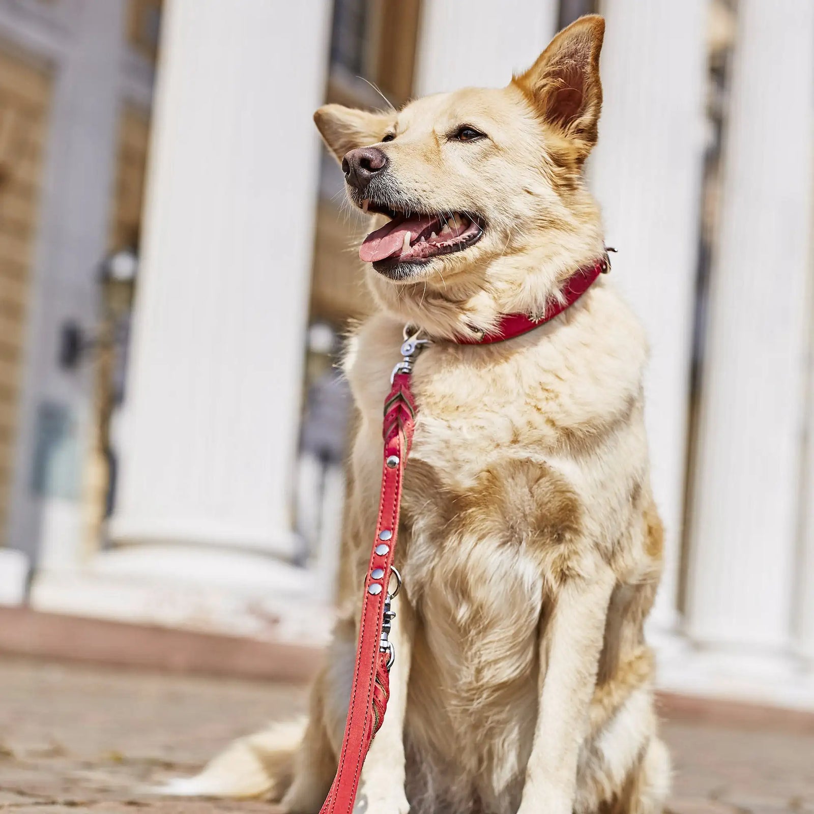 Edelweiss Set