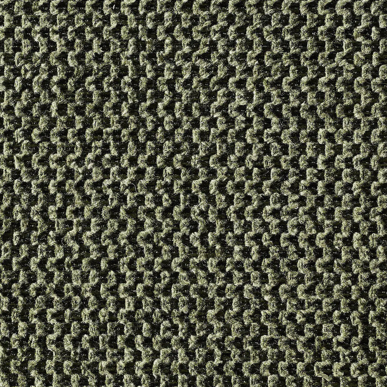olive-3