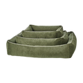 olive-2