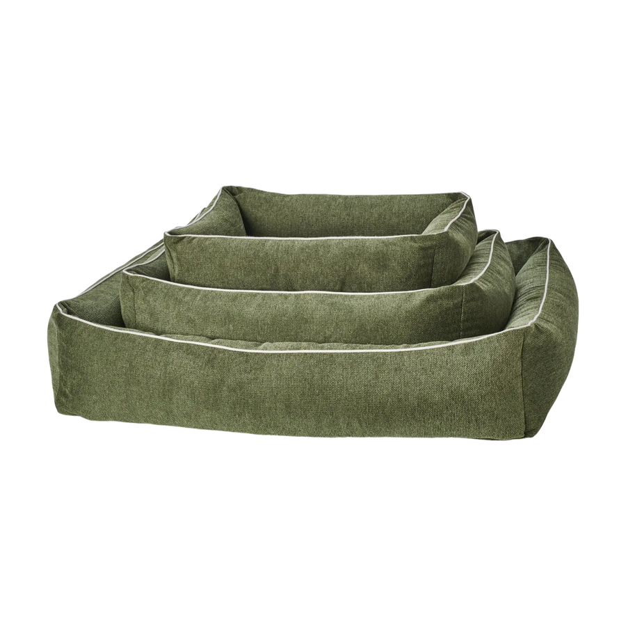 olive-2