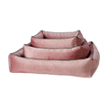 rosa-2