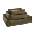 olive-2