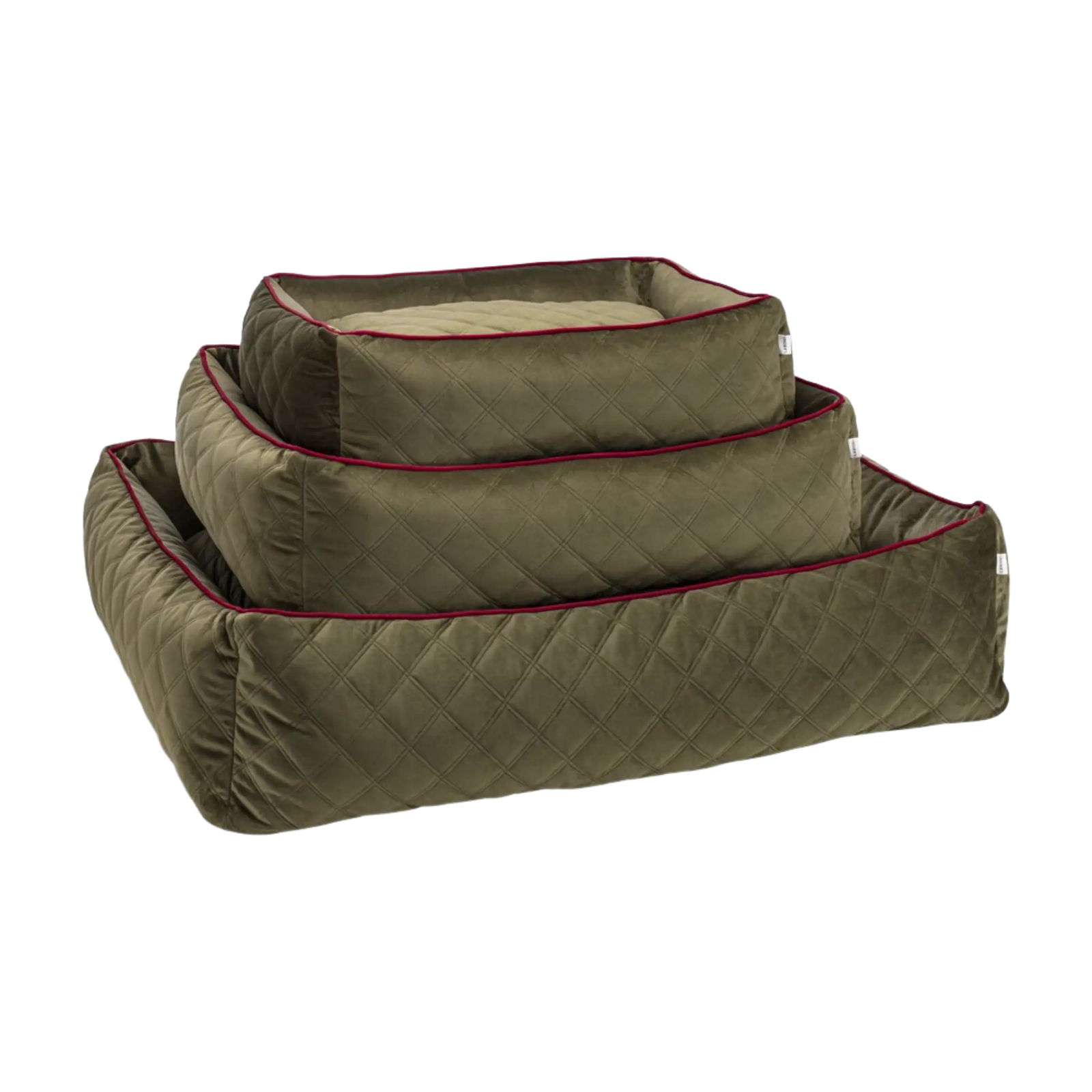 olive-2