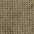 olive-3
