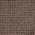 braun-3